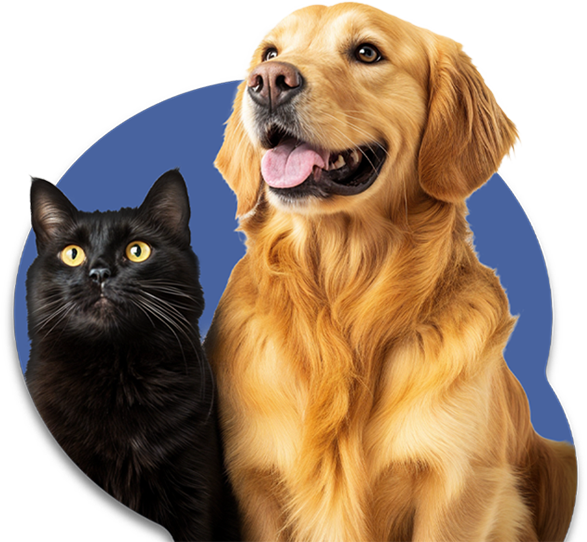 Vet Assistance em Porto Alegre