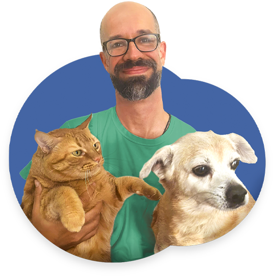 Vet Assistance em Porto Alegre