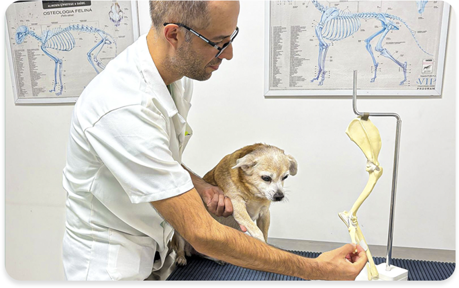 clínica veterinária Vet Assistance em Porto Alegre