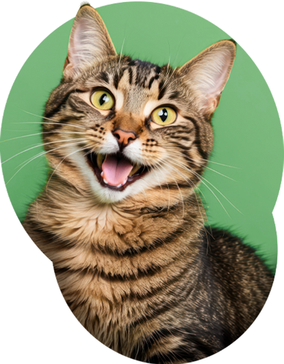 Vet Assistance em Porto Alegre