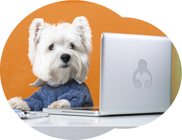 Vet Assistance em Porto Alegre